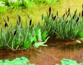 aom608-artofmini.com-reed-schilf-bruine-sigaren-garden-tuin-garten-laser-cut-plant-pflantzen-poppenhuis-miniature-miniatuur