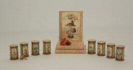 bl02-1-artofmini.com-paddestoelen-mushroom-pilze-display-miniature-poppenhuis-dollshouse-puppen-haus-stube